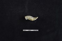 藏品(陶把)的圖片